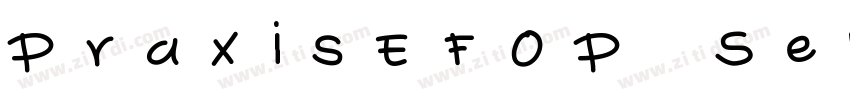 PraxisEFOP SemiBoldO字体转换